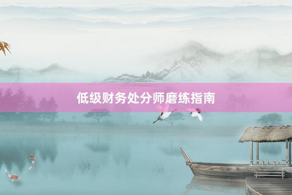 低级财务处分师磨练指南